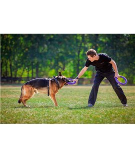 Puller Standard dog training device diameter 28 cm